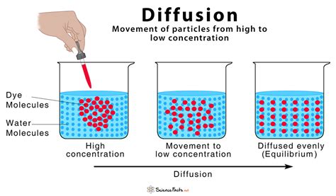 does the diffusion line still work